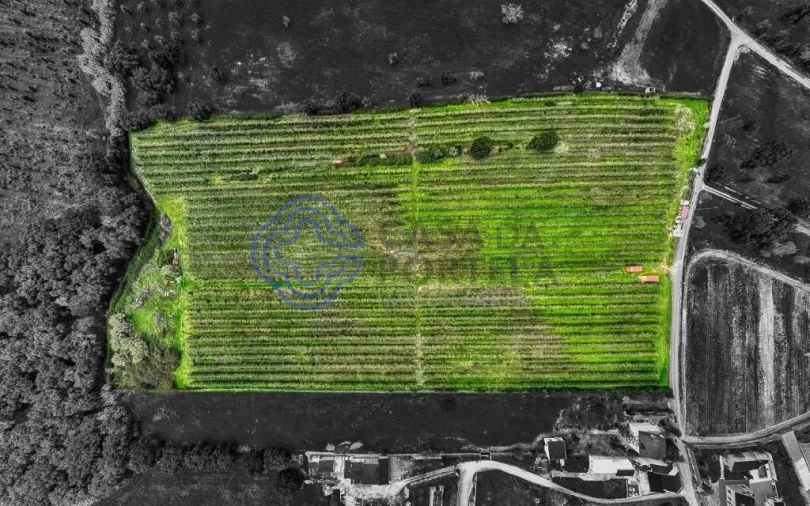 Terreno para Venda em Cartaxo e Vale da Pinta Foto 31