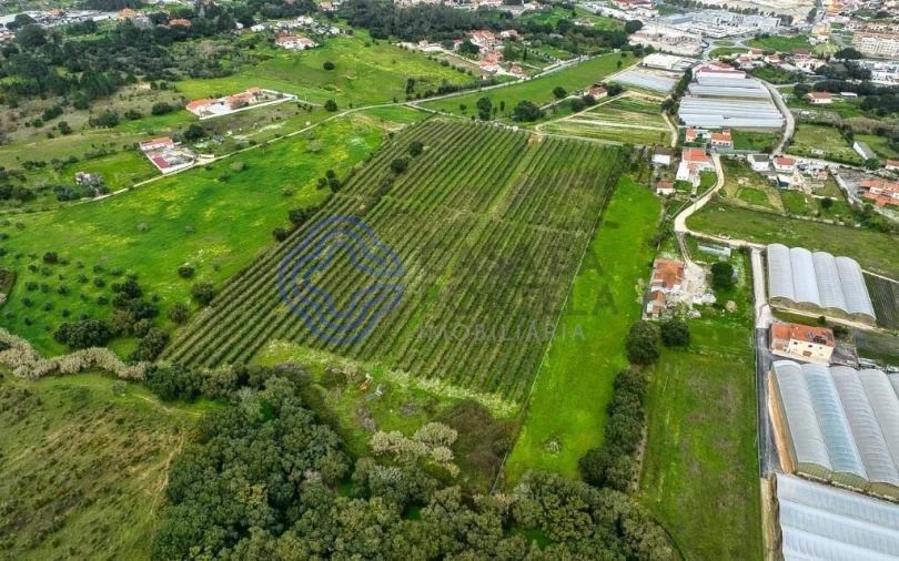 Terreno para Venda em Cartaxo e Vale da Pinta Foto 27