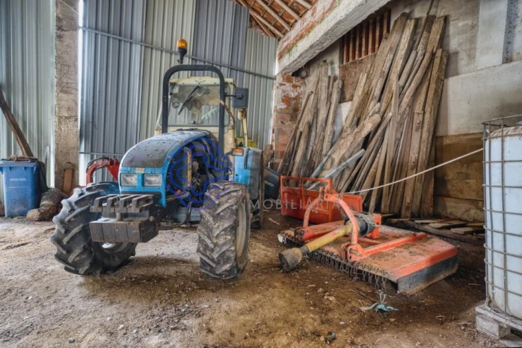Terreno para Venda em Cartaxo e Vale da Pinta Foto 16
