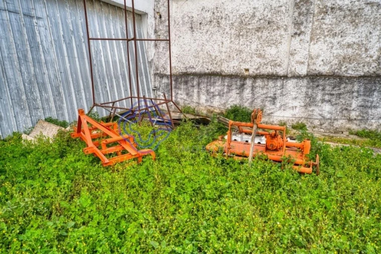 Terreno para Venda em Cartaxo e Vale da Pinta Foto 18