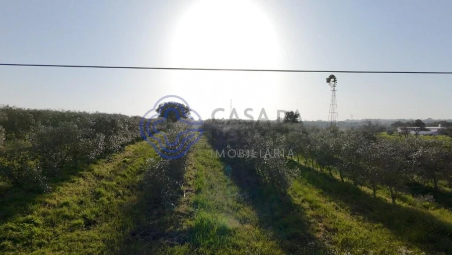 Terreno para Venda em Cartaxo e Vale da Pinta Foto 2