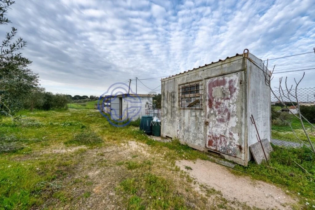 Terreno para Venda em Cartaxo e Vale da Pinta Foto 13