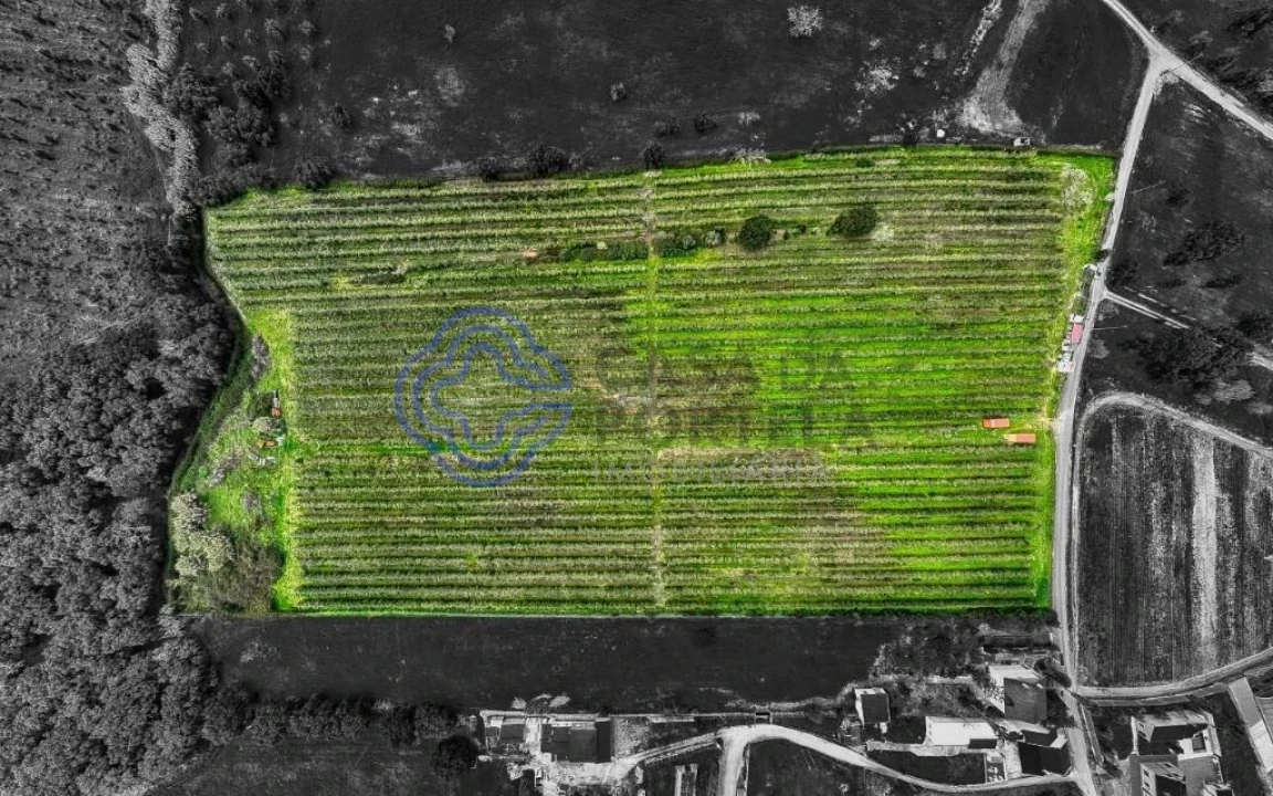 Terreno para Venda em Cartaxo e Vale da Pinta Foto 31