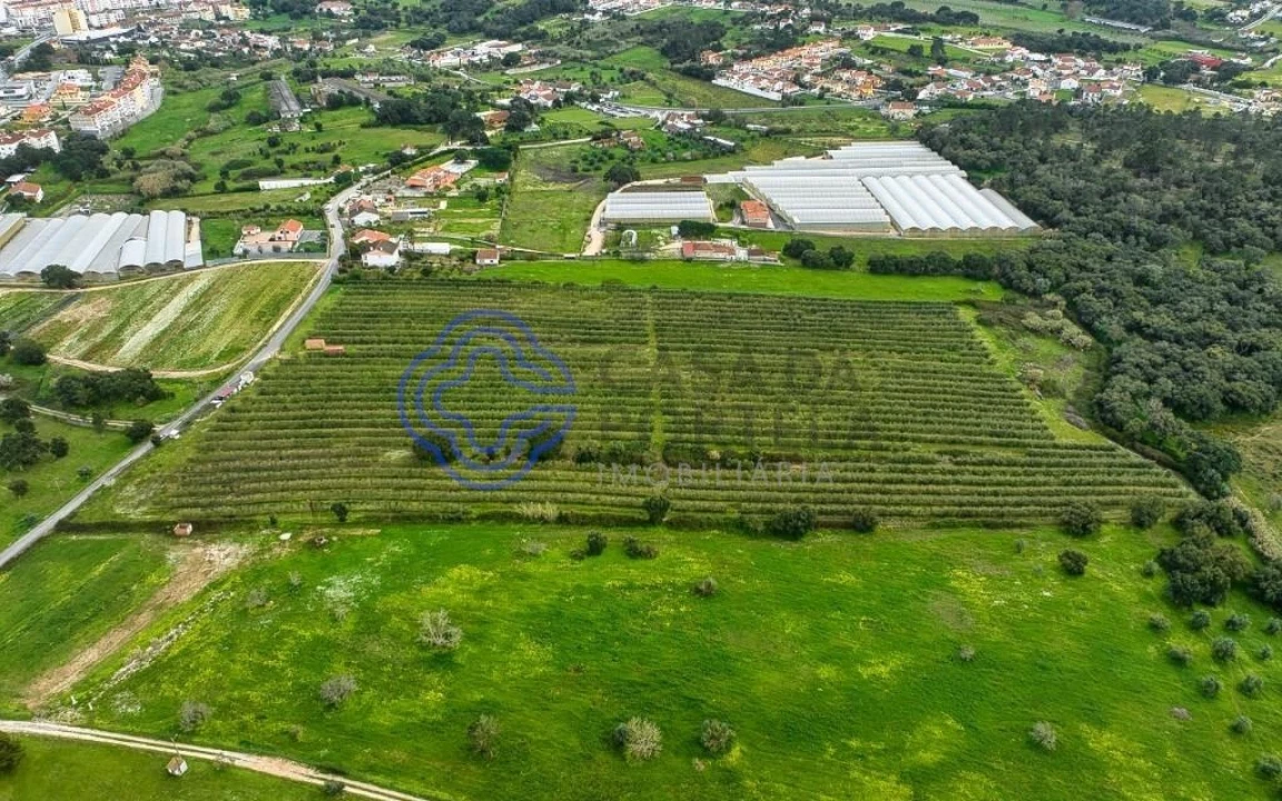 Terreno para Venda em Cartaxo e Vale da Pinta Foto 24