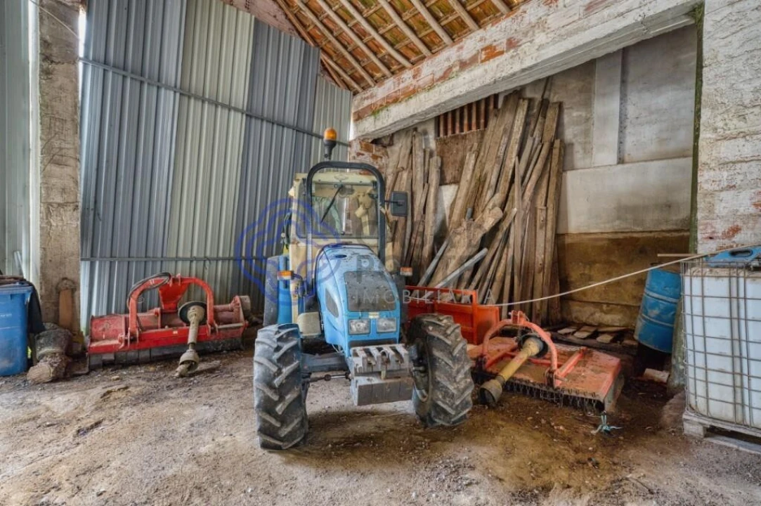 Terreno para Venda em Cartaxo e Vale da Pinta Foto 15