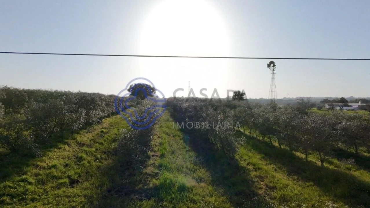 Terreno para Venda em Cartaxo e Vale da Pinta Foto 2