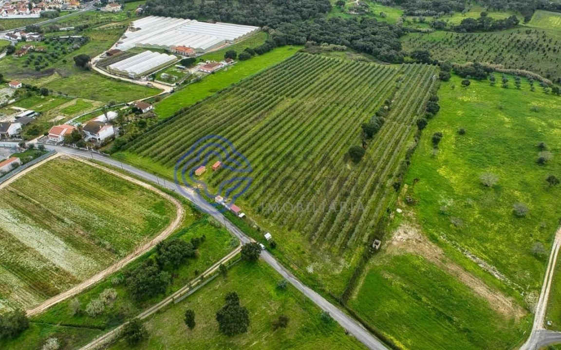 Terreno para Venda em Cartaxo e Vale da Pinta Foto 22