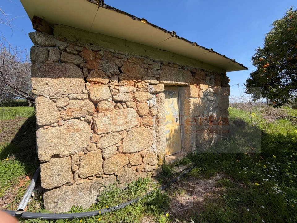Terreno para Venda em Vale de Prazeres e Mata da Rainha Foto 3