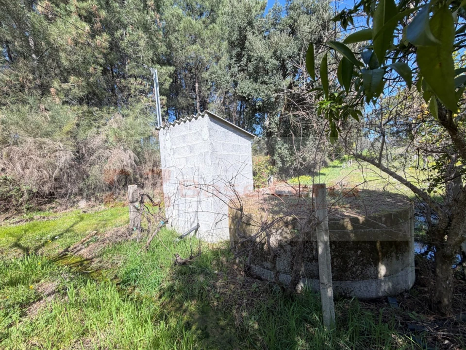 Terreno para Venda em Vale de Prazeres e Mata da Rainha Foto 4