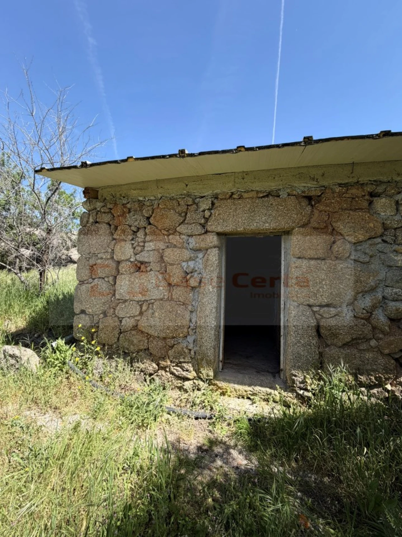 Terreno para Venda em Vale de Prazeres e Mata da Rainha Foto 1