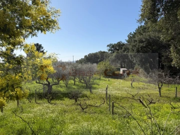 Terreno para Venda em Vale de Prazeres e Mata da Rainha