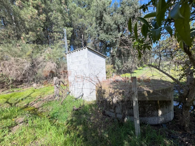 Terreno para Venda em Vale de Prazeres e Mata da Rainha Foto 5