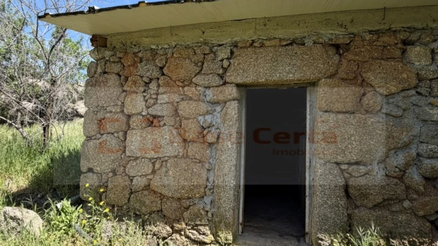 Terreno para Venda em Vale de Prazeres e Mata da Rainha