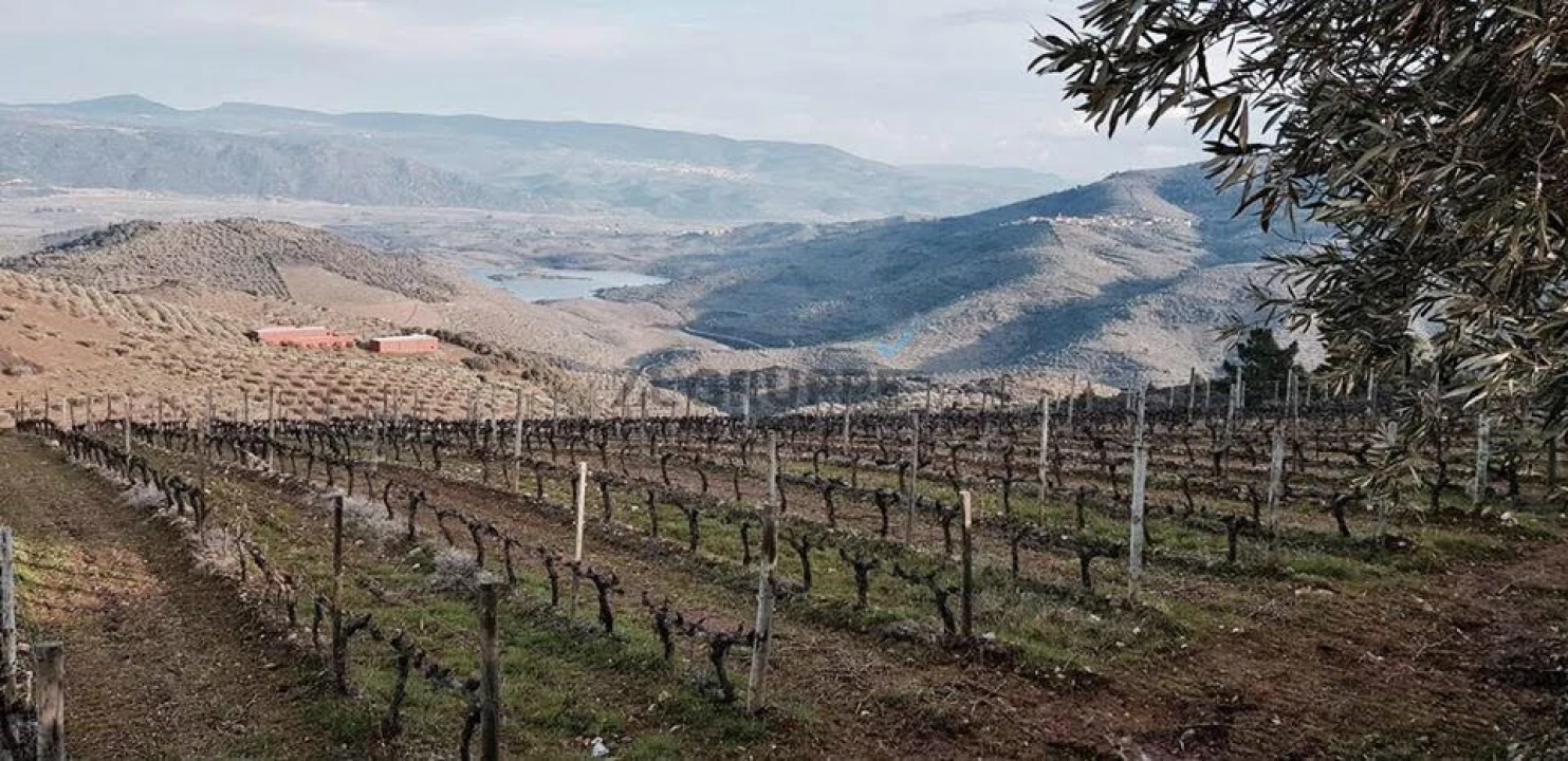 Quinta para Venda em Vila Flor e Nabo Foto 1