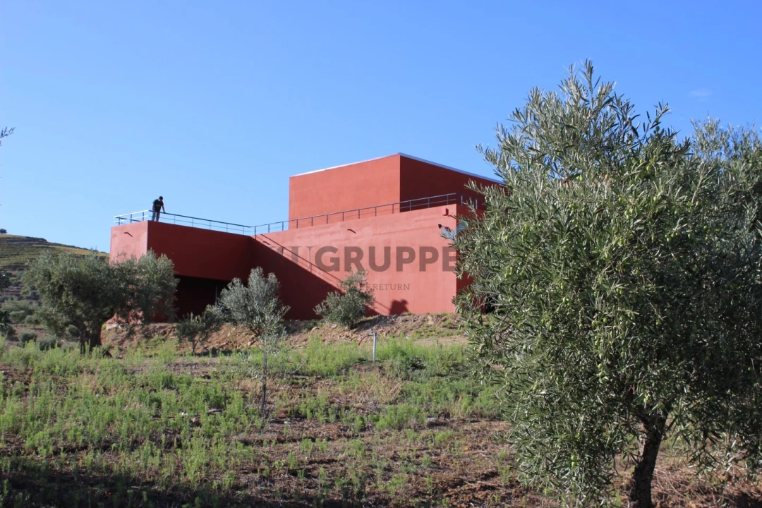 Quinta para Venda em Vila Flor e Nabo Foto 10