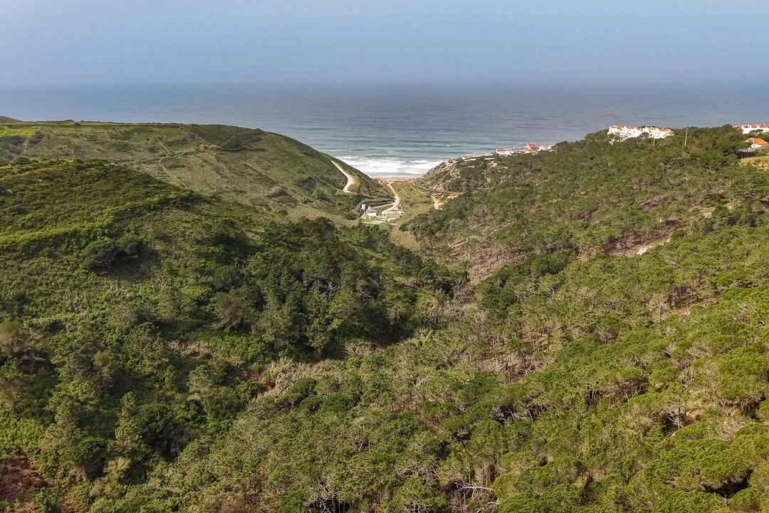 Moradia T4 para Venda em Santa Maria e São Miguel, São Martinho, São Pedro Penaferrim Foto 16