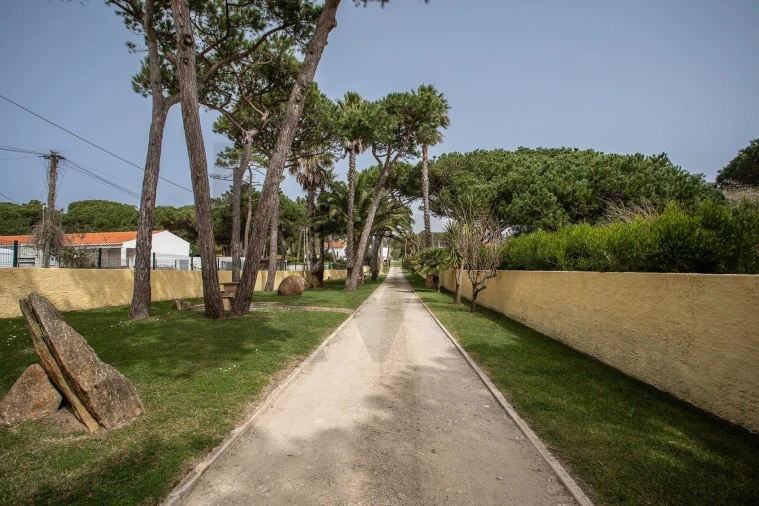 Moradia T4 para Venda em Santa Maria e São Miguel, São Martinho, São Pedro Penaferrim Foto 4