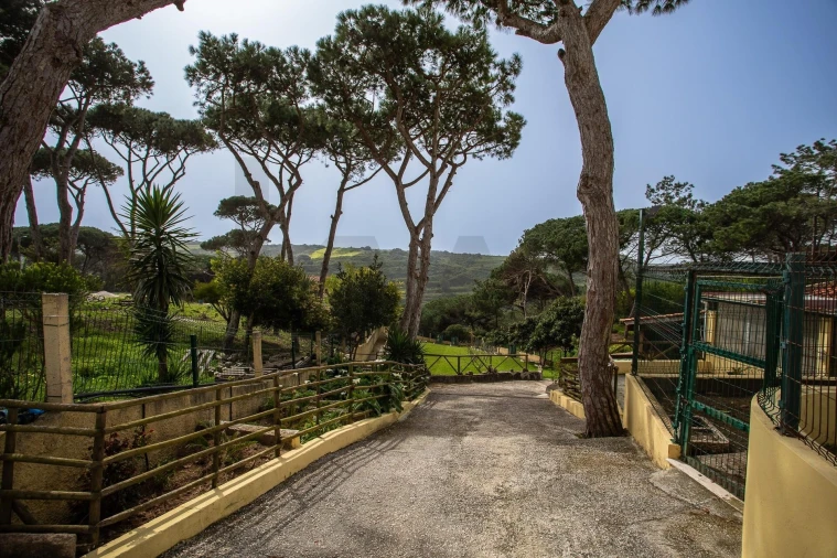 Moradia T4 para Venda em Santa Maria e São Miguel, São Martinho, São Pedro Penaferrim Foto 12