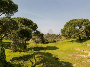Quinta T7 para Venda em Sesimbra (Castelo)