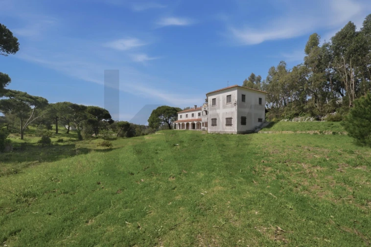 Quinta T7 para Venda em Sesimbra (Castelo) Foto 13