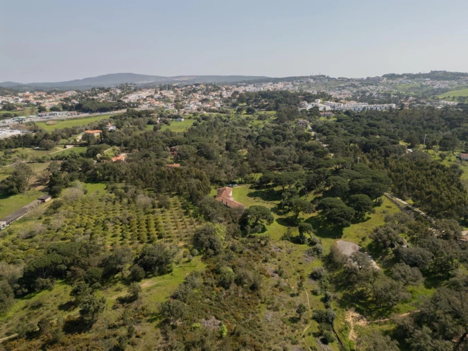 Quinta T7 para Venda em Sesimbra (Castelo) Foto 14