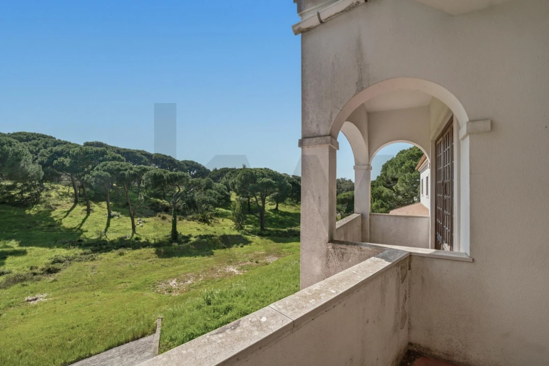 Quinta T7 para Venda em Sesimbra (Castelo) Foto 21