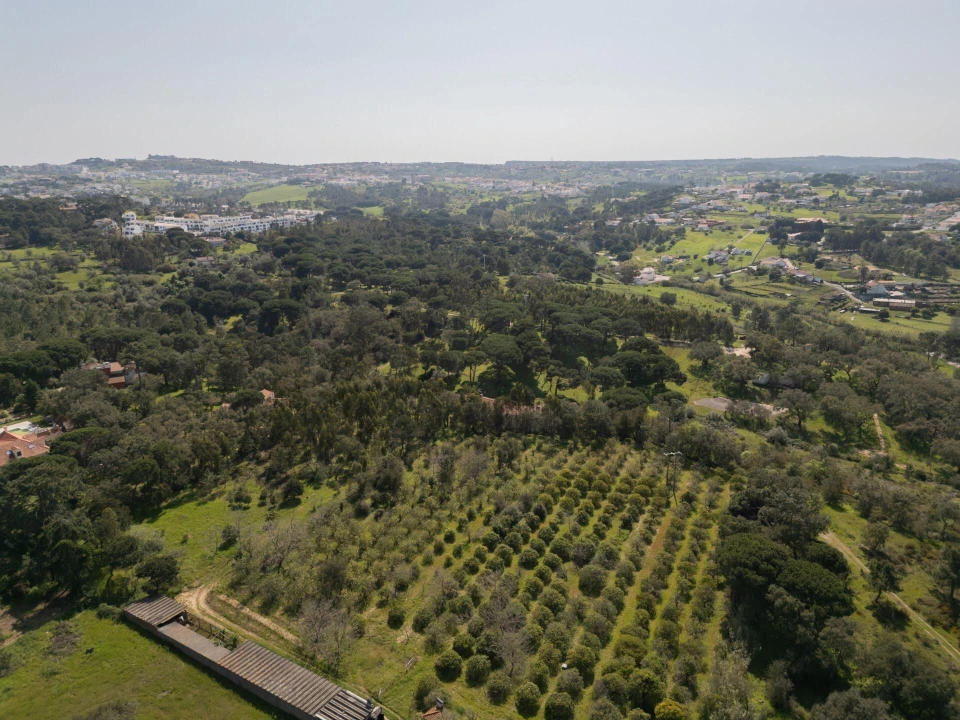 Quinta T7 para Venda em Sesimbra (Castelo) Foto 15