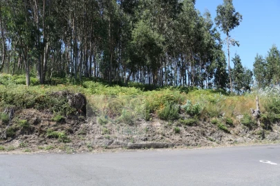 Terreno para Venda em Rebordosa