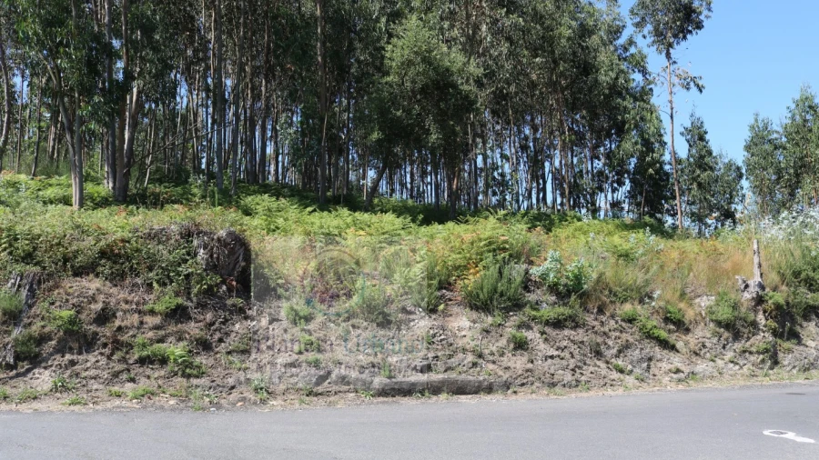 Terreno para Venda em Rebordosa