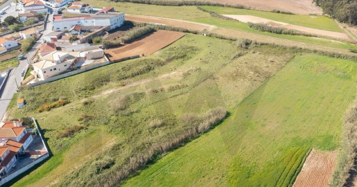 Terreno para Venda em São Pedro da Cadeira