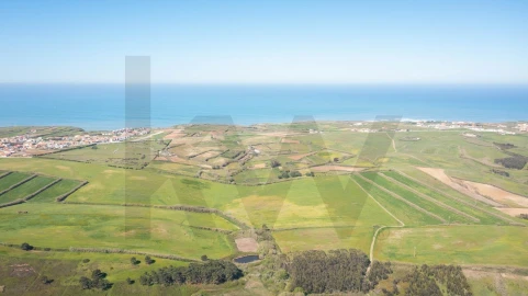 Terreno para Venda em São Pedro da Cadeira