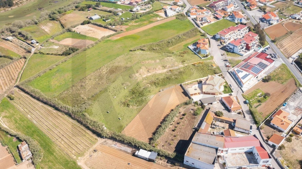Terreno para Venda em São Pedro da Cadeira Foto 7