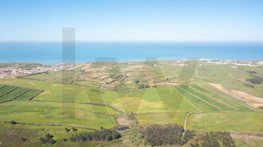Terreno para Venda em São Pedro da Cadeira Foto 2