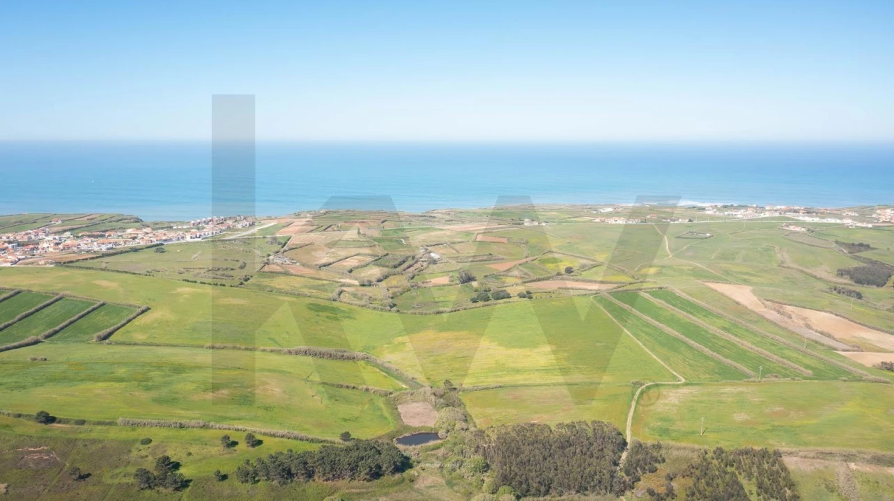 Terreno para Venda em São Pedro da Cadeira Foto 2
