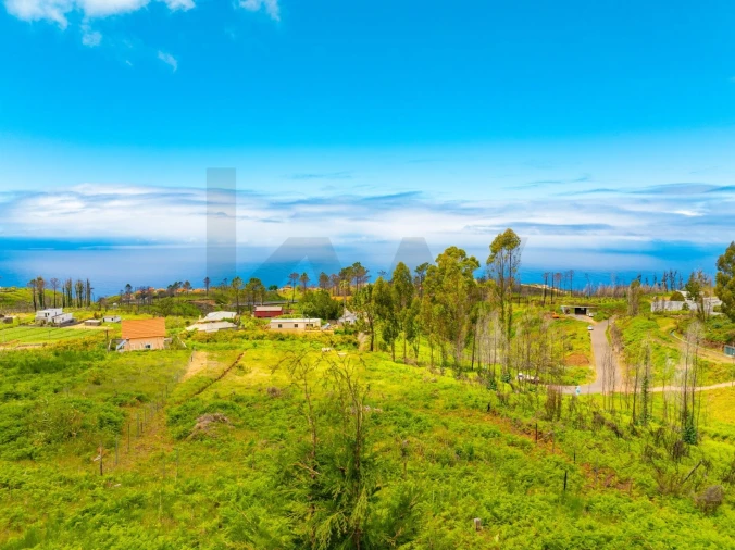 Terreno para Venda em Ponta do Pargo Foto 22