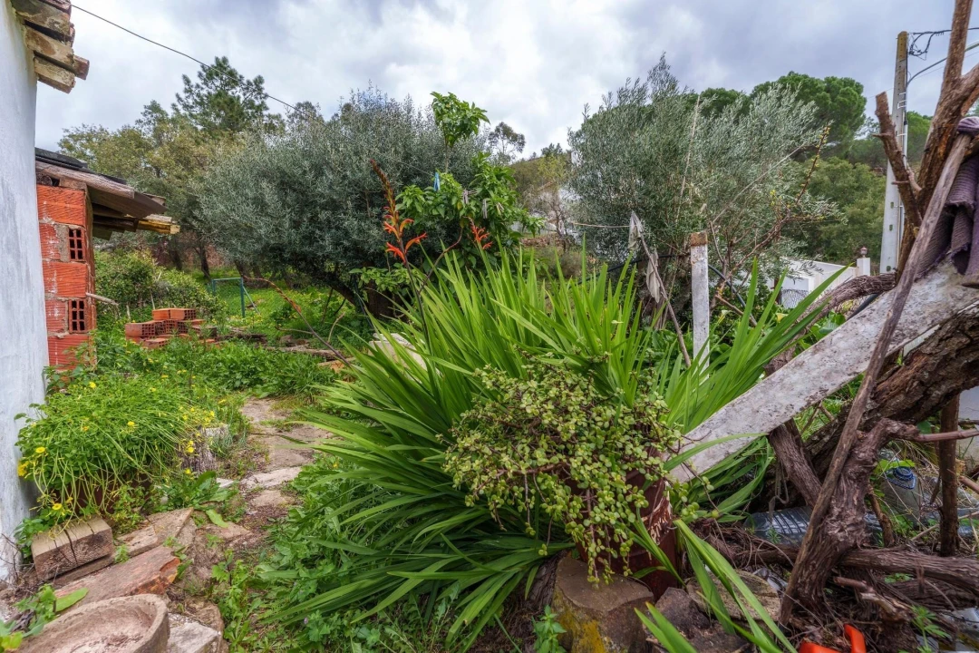 Moradia T2 para Venda em São Brás de Alportel Foto 36