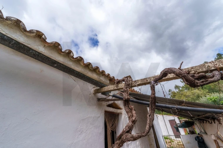 Moradia T2 para Venda em São Brás de Alportel Foto 30