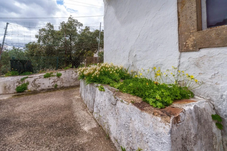 Moradia T2 para Venda em São Brás de Alportel Foto 27