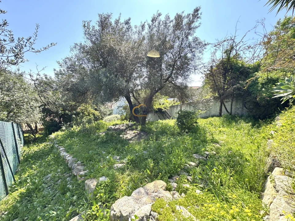 Moradia T1 para Venda em Loule (São Clemente) Foto 30