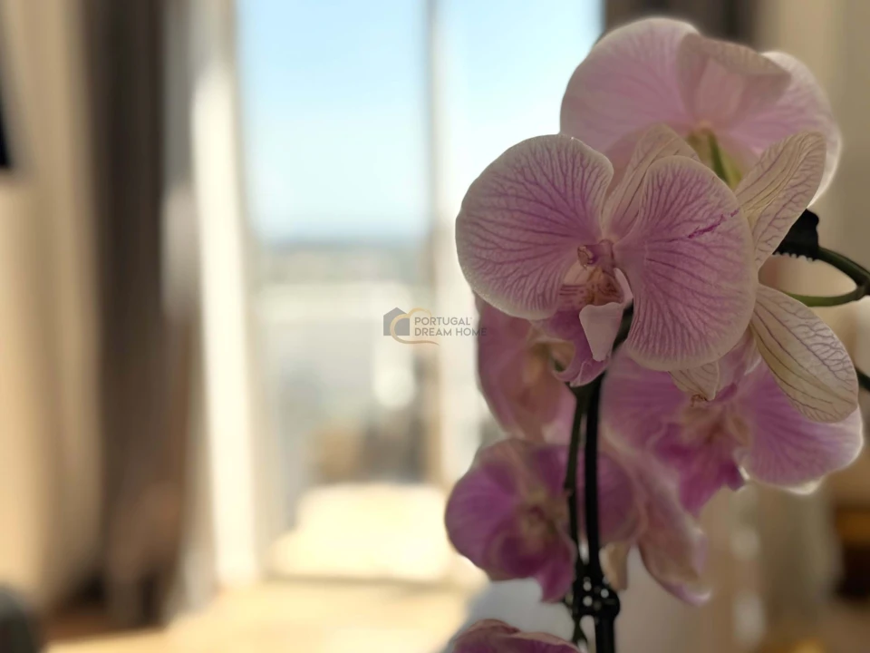 Moradia T1 para Venda em Loule (São Clemente) Foto 9