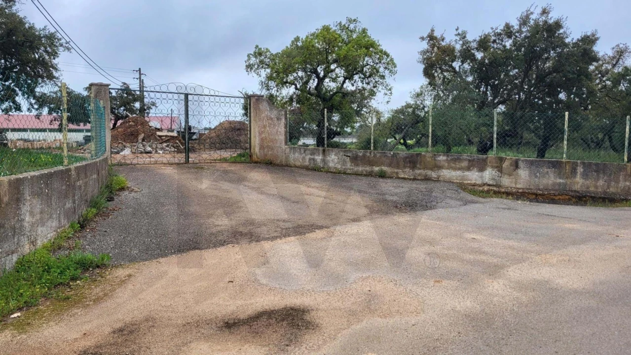 Terreno para Venda em Silves Foto 3