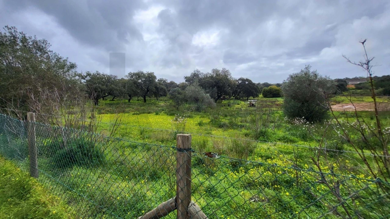 Terreno para Venda em Silves Foto 1