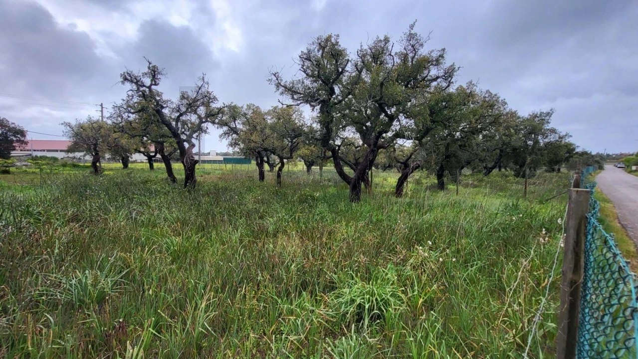 Terreno para Venda em Silves Foto 4