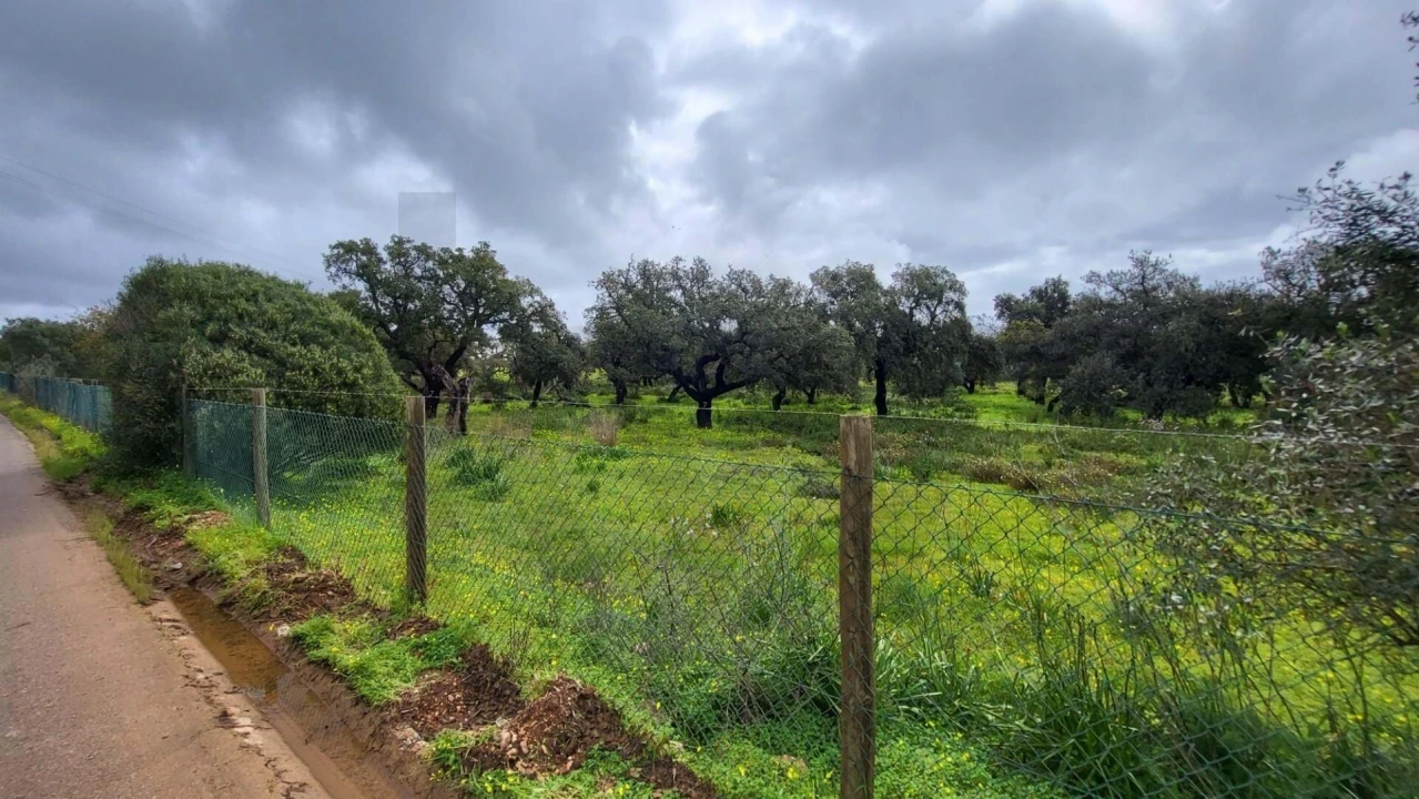 Terreno para Venda em Silves Foto 2