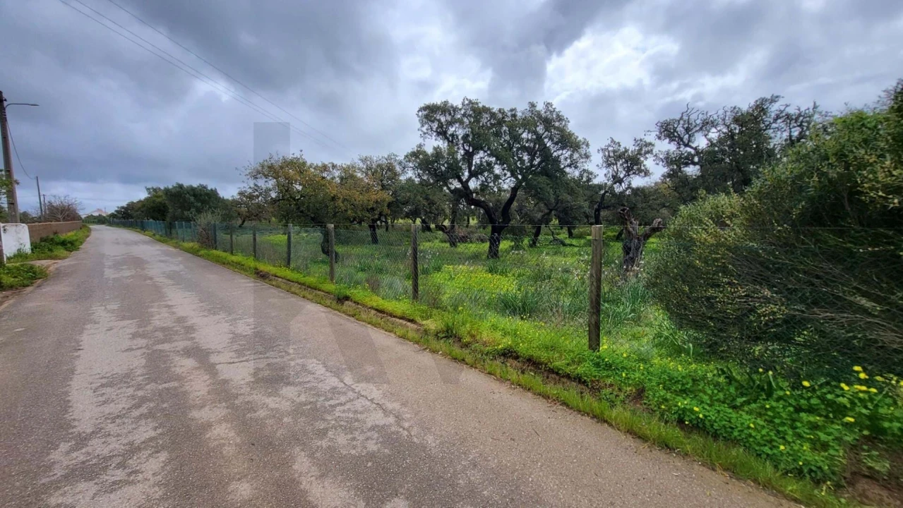 Terreno para Venda em Silves Foto 5