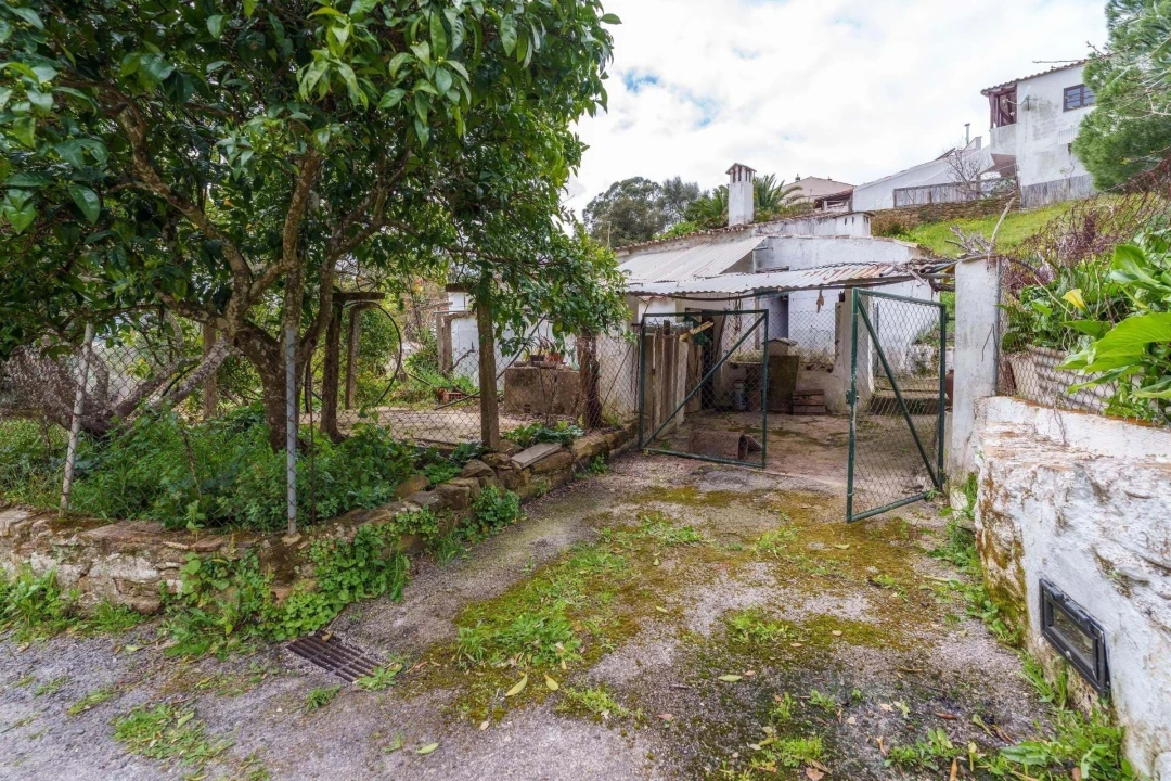 Moradia T2 para Venda em São Brás de Alportel Foto 39