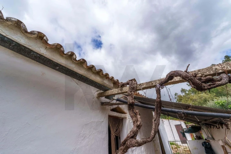 Moradia T2 para Venda em São Brás de Alportel Foto 30