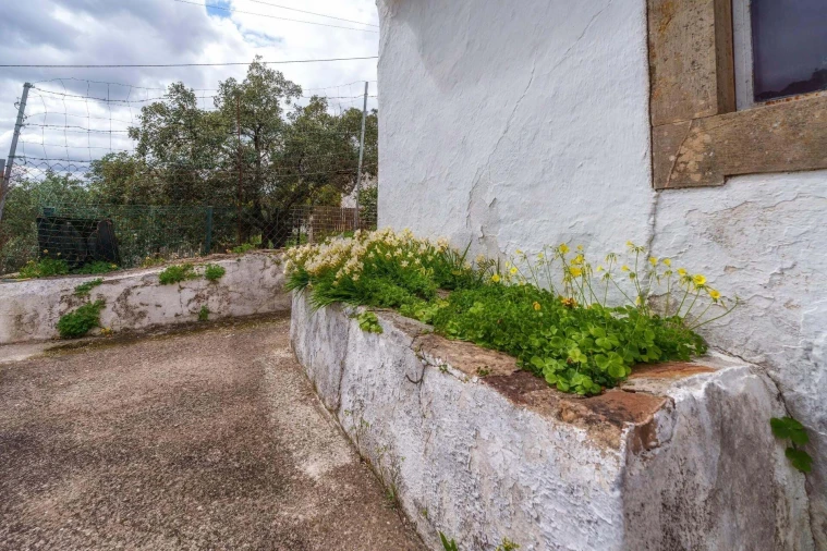 Moradia T2 para Venda em São Brás de Alportel Foto 27