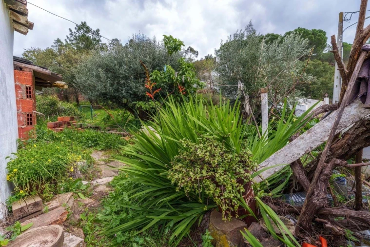 Moradia T2 para Venda em São Brás de Alportel Foto 36