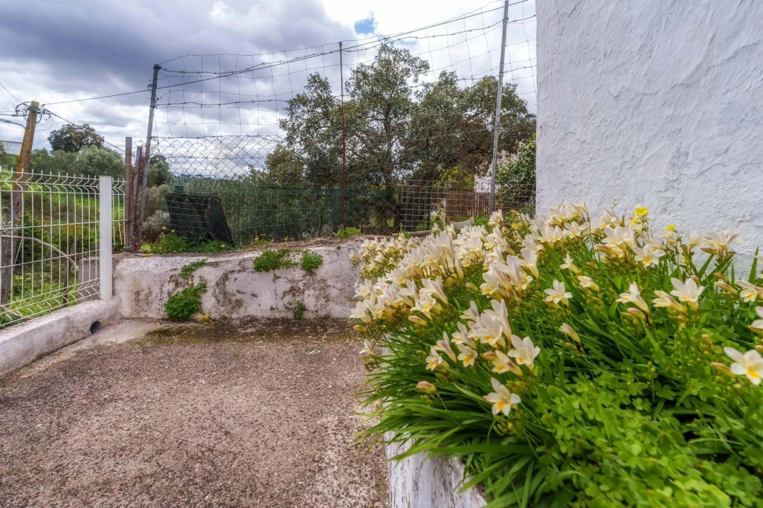 Moradia T2 para Venda em São Brás de Alportel Foto 28